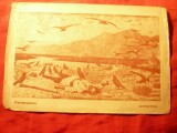 Ilustrata -Pictura , sepia - Veresiagin - Uitatul -Cercul de Ed.Socialista ,uzat