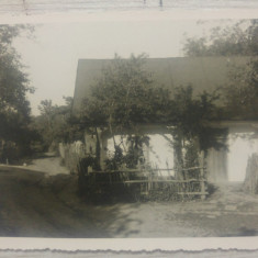 Casa de maici la Manastirea Cocos, 1939// foto tip CP