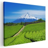 Tablou muntele Fuji Japonia Tablou canvas pe panza CU RAMA 20x30 cm