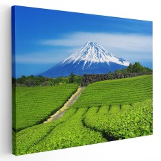 Tablou muntele Fuji Japonia Tablou canvas pe panza CU RAMA 20x30 cm