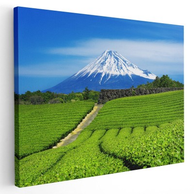 Tablou muntele Fuji Japonia Tablou canvas pe panza CU RAMA 20x30 cm foto