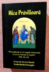 Mica pravilioara. Editura Cartea Ortodoxa, 2019 - Nicodim Mandita