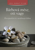 B&aacute;rhov&aacute; m&eacute;sz, ott vagy - &Eacute;bers&eacute;gmedit&aacute;ci&oacute; a mindennapi &eacute;letben - Jon Kabat-Zinn