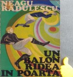 Un balon radea in poarta Neagu Radulescu