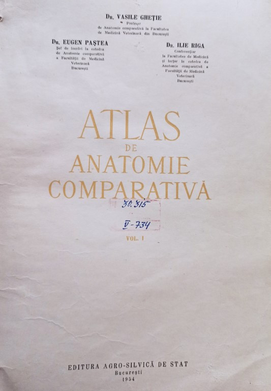 Vasile Ghetie - Atlas de anatomie comparativa, vol. 1 | Okazii.ro