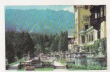 bnk cp Sinaia - Terasa Muzeului Peles - circulata