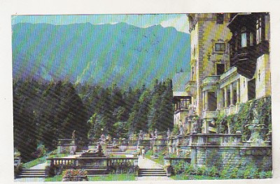 bnk cp Sinaia - Terasa Muzeului Peles - circulata foto