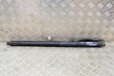 Amortizor haion dreapta TESLA MODEL S 2014 OEM: 6006610-00-C 17333581 foto