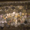 Colectie Rusia 225 monede