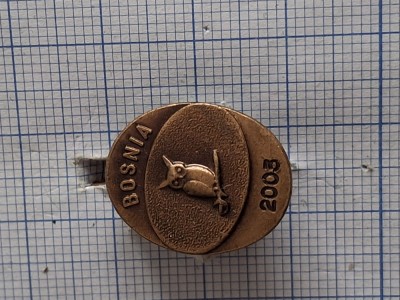 insigna directia de informatii a armatei - bosnia 2003 foto