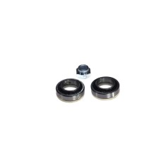 Set rulment roata FORD FIESTA III GFJ BTA H1G009BTA