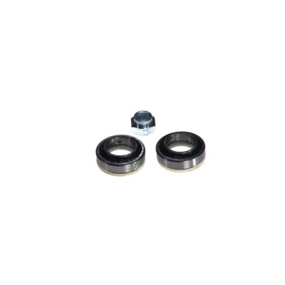 Set rulment roata FORD ESCORT V combi GAL AVL BTA H1G009BTA foto