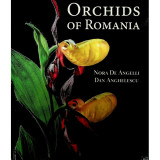 Dan Anghelescu, Nora De Angelli - Orchids of Romania (2020, editie cartonata)