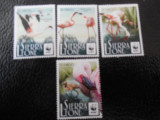 Sierra Leone-Fauna wwf,pasari flamingo-serie completa,nestampilate MNH, Nestampilat