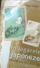 IN LAGARELE JAPONEZE: MARTURIA UNEI SUPRAVIETUITOARE OLGA MOSS