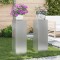 vidaXL Suporturi pentru plante 2 pcs Argintiu 24 x 24 x 75 cm