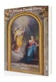 Vindecarea Divină - Paperback brosat - Joshua David Stone - Agni Mundi