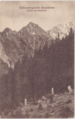 CP SIBIU Hermannstadt Carpatii Transilvaniei partie am Haitasel ND(1917) foto