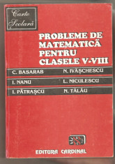 Probleme de matematica pentru clasele V-VIII-C.Basarab foto