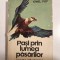 PASI PRIN LUMEA PASARILOR DE IONEL POP, BUC. 1979