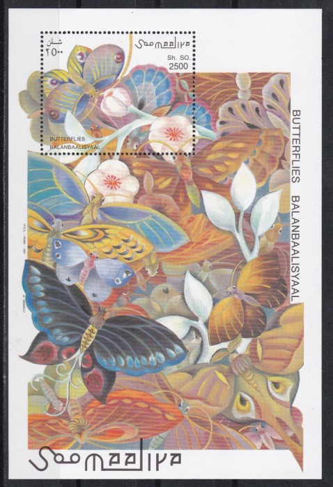 Somalia 1997 - Fluturi, Colita, MNH