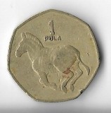 Moneda 1 pula 1991 - Botswana