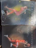 Anatomia tenisului/ baschetului