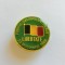 Insigna Frontul Salvarii Nationale &ndash; 22 Decembrie 1989