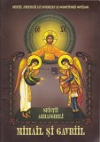 Sfintii Arhangheli Mihail si Gavriil, Colectia Sfintii, prietenii lui Dumnezeu