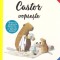Castor vopseste/ Castor