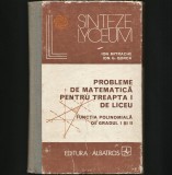 PROBLEME DE MATEMATICĂ PENTRU TREAPTA I DE LICEU - ION MITRACHE, LYCEUM