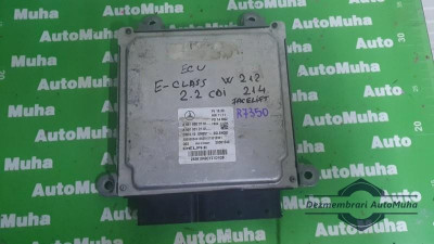 Calculator motor Mercedes C-Class (2007-&amp;gt;) [W204] a6519003701 foto