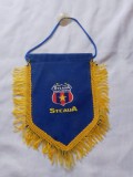 Fanion steaua bucuresti