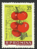 EROARE ROMANIA 1963 LP 556 CULTURA LEGUMELOR TIMPURII MNH, Nestampilat