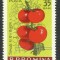 EROARE ROMANIA 1963 LP 556 CULTURA LEGUMELOR TIMPURII MNH