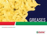 Castrol tribol gr 3020/1000-00 pd 18kg
