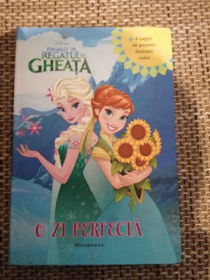 Freamat in Regatul de Gheata. O zi perfecta - Miniroman - Disney foto