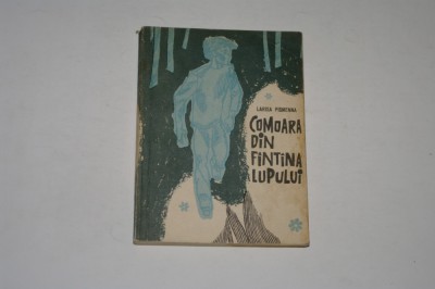 Comoara din fantana lupului - Larisa Pismenna foto