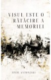 Visul este o ratacire a memorie - Liviu Antonesei