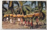 bnk cp Africa - Copii carand nuci de cocos - uzata