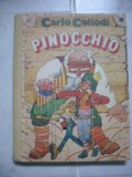 Carlo Golodi-Pinocchio