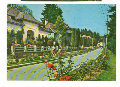 CPIB 18338 CARTE POSTALA - OLANESTI. VEDERE foto