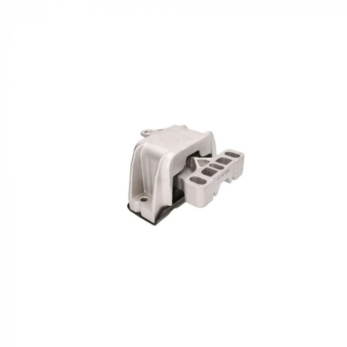 Suport motor Volkswagen NEW BEETLE 9C1 1C1 FORTUNE LINE FZ90009
