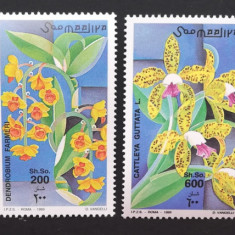 SOMALIA-Orhidee-4 v.**SOM 160