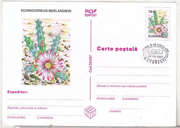 bnk cp Cactusi - necirculata - marca fixa - stampila prima zi - 024/97