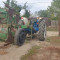 Foto  - 8