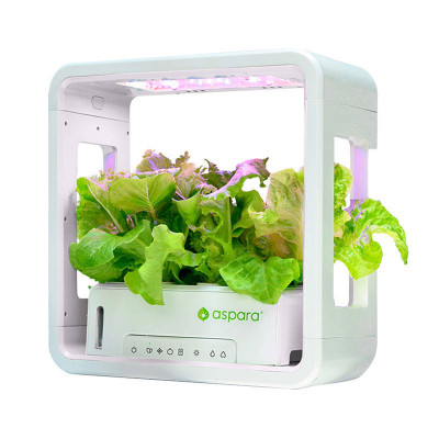 Ghiveci inteligent aspara de GrowGreen Stylist Lite Smart Grower foto