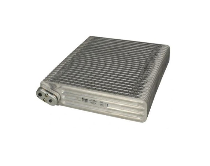Evaporator aer conditionat Bmw Seria 5 E39 1995-2003, X5 E53 2000-2007, 245x296x58mm, RapidAuto 2050P8-1