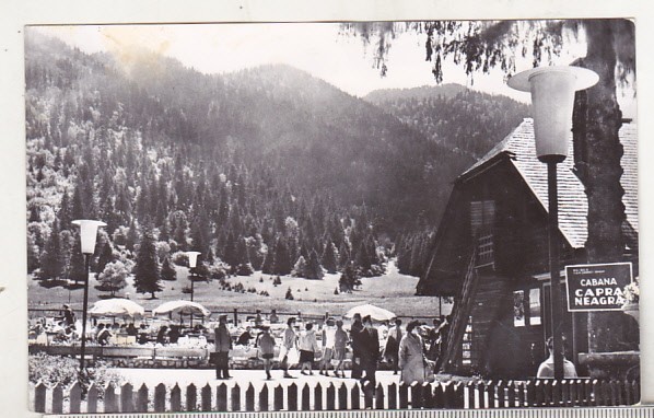 bnk cp Poiana Brasov - Cabana Capra Neagra - circulata