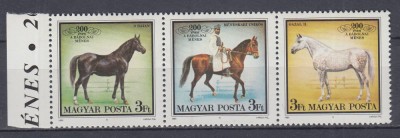 UNGARIA 1989 CAI DE RASA SERIE MNH foto